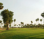 Golf in United Arab Emirates